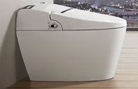 ������ϵ��